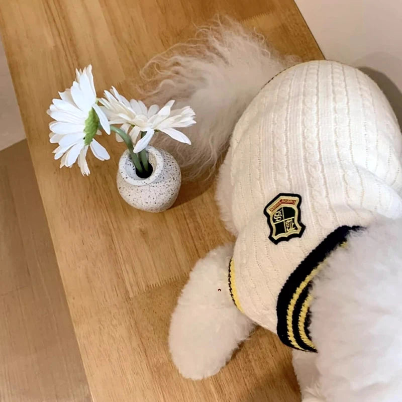 Knitted Dog Sweater Bear Striped Puppy Winter Coat For Dogs