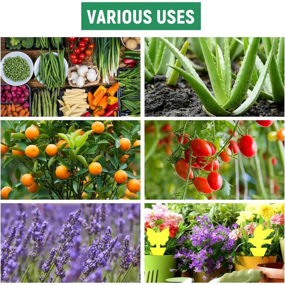 Round Nursery Pots For Seedlings, Plants, And Vegetables